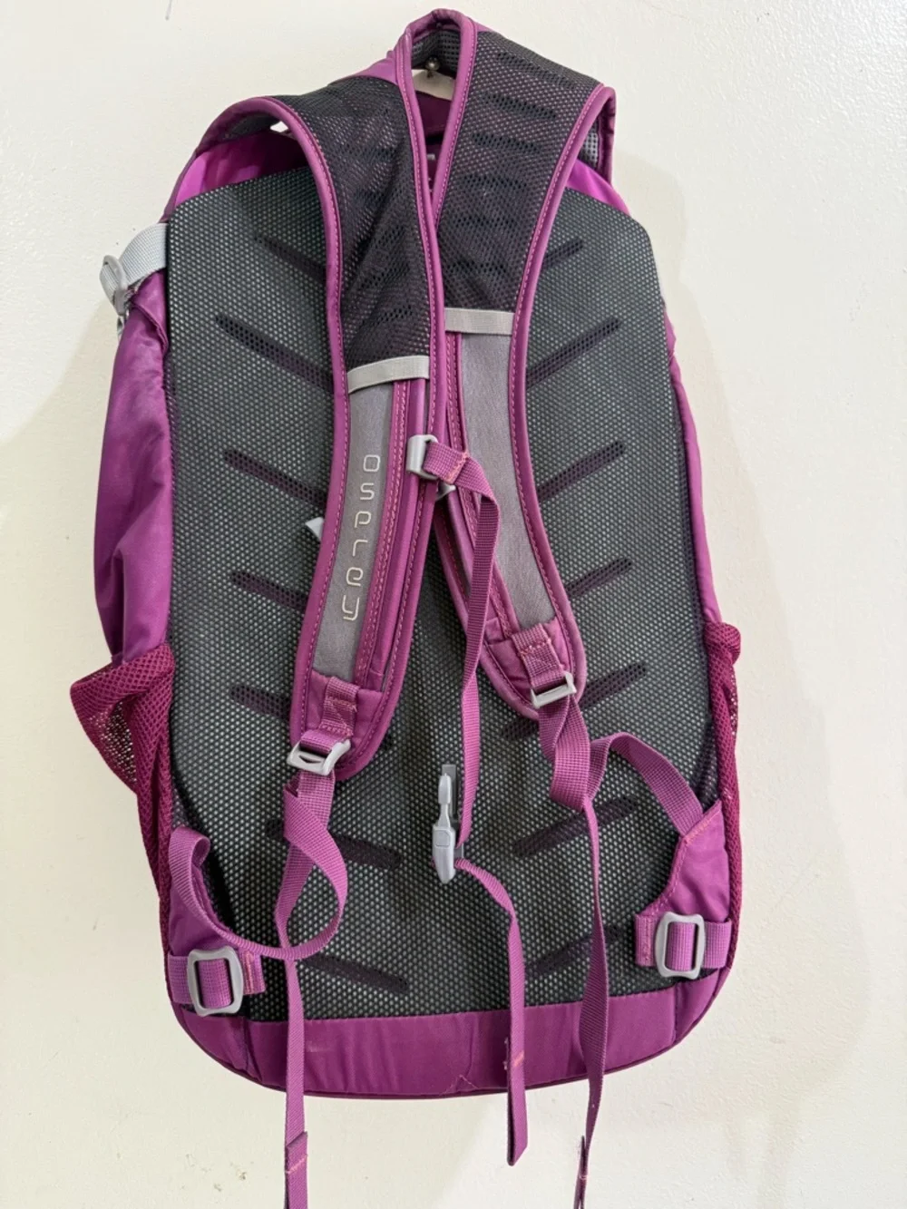 OSPREY Daylite Plus Backpack - Magenta and Light Gray Accents